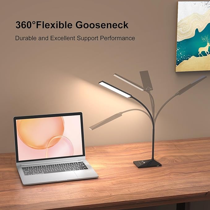 RAOYI LED Desk Lamp, 12W Dimmable Table Lamp Eye-Caring Reading Light with USB Charging Port, Touch Control, 5 Lighting Modes and 6-Level Brightness for Home Office Bedrooms (Black) - LeafyLoom
