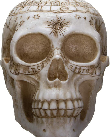 Pacific Giftware Astrology Skull Home Decor LED Lamp with Two USB Charging Ports, White - LeafyLoom