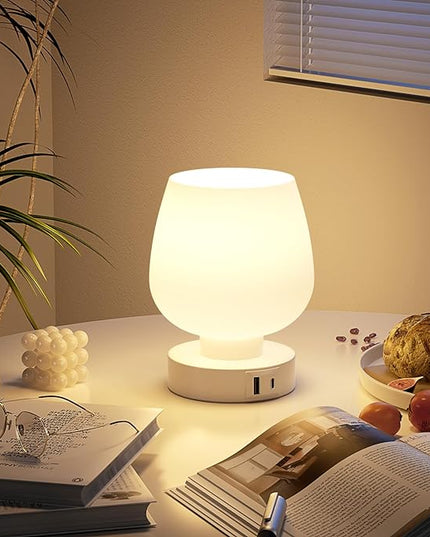 Kakanuo Bedside Table Lamp with Glass Shade, Touch Control, Dual USB A+C Charging Ports, Nightstand Lamp, 3-Way Dimmable, Bulb Included - LeafyLoom