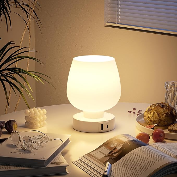 Kakanuo Bedside Table Lamp with Glass Shade, Touch Control, Dual USB A+C Charging Ports, Nightstand Lamp, 3-Way Dimmable, Bulb Included - LeafyLoom