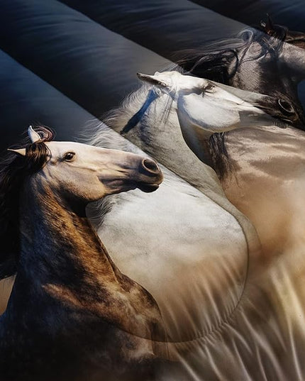 Horse Comforter King Size,Galloping Horse Comforter Set for Kids Teens Girls Boys,3Pcs Bedding Set Printed Comforter with 2 Pillowcases,Soft and Lightweight，King Size - LeafyLoom
