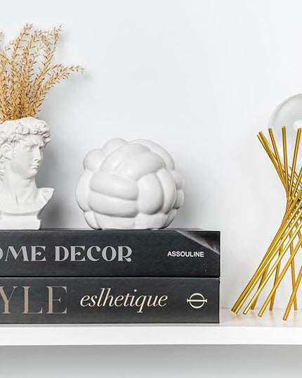 Knot Decor, Chain Link Decor, Coffee Table Books Decor, Shelf Decor Accents, Modern Decor for Decorative Books, Minimalist Bookshelf Decor, Infinity Sculpture Sphere (5x4) (White, 5x4inc) - LeafyLoom