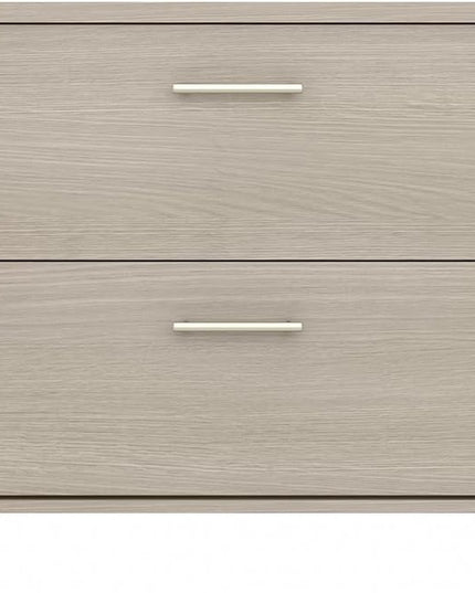 Bush Furniture Somerset 2 Drawer Lateral File Cabinet in Sand Oak - LeafyLoom
