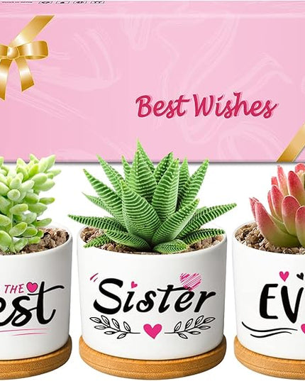 Mothers Day Sisters Gifts for Sister, Gifts for Sister from Brother Sister Birthday Gifts, Soul Sister Gifts for Women Sister in Law Gifts, Best Sister Ever Succulent Pots - LeafyLoom