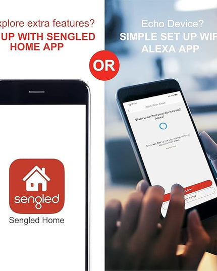 Sengled Alexa WiFi Light Bulb - Smart Bulbs That Work with Alexa/Google Assistant, A19 Daylight (5000K) - No Hub Required, 800LM 60W High CRI)60 Equivalent, 4 Count (Pack of 1) Sengled
