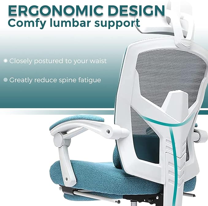 edx Ergonomic Office Chair, Reclining High Back Mesh Chair, Computer Desk Chair, Swivel Rolling Home Task Chair with Lumbar Support Pillow, Adjustable Headrest, Retractable Footrest and Armrests - LeafyLoom