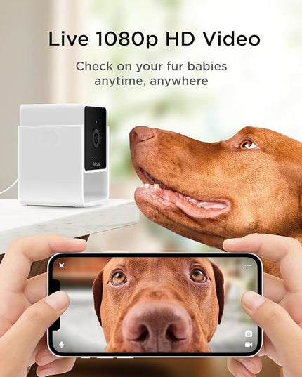 Petcube Cam The Pack of 2 | Indoor Wi-Fi Pet Security Camera with Phone App, 2-Way Audio and Video, Night Vision, 1080p HD Video and Smart Alerts Petcube