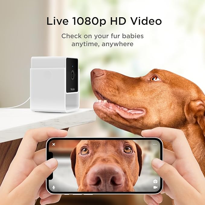 Petcube Cam The Pack of 2 | Indoor Wi-Fi Pet Security Camera with Phone App, 2-Way Audio and Video, Night Vision, 1080p HD Video and Smart Alerts Petcube