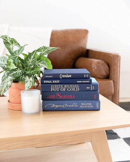 Colored Real Decorative Book Set - Decor Books for Book Shelf Decor, Home Decor for Shelves & Bookcases - Perfect for Book Decor, Decorative Books for Home Decor, & Books for Decor (Light Blue) - LeafyLoom