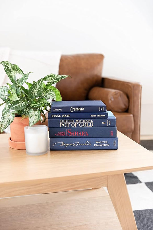 Colored Real Decorative Book Set - Decor Books for Book Shelf Decor, Home Decor for Shelves & Bookcases - Perfect for Book Decor, Decorative Books for Home Decor, & Books for Decor (Yellow) - LeafyLoom