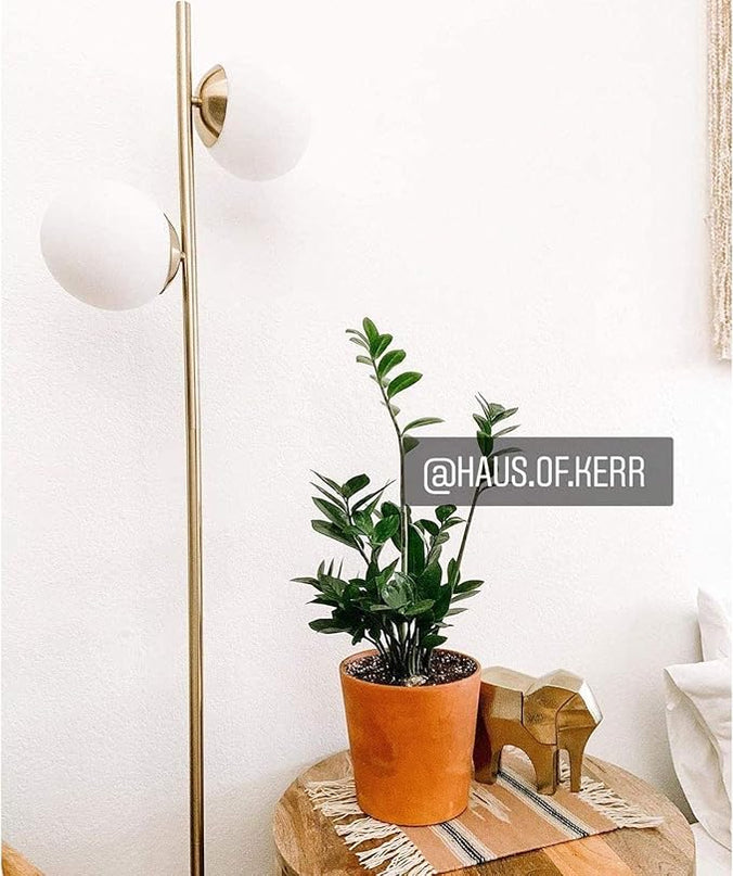 Brightech Sphere Floor Lamp for Living Room, Mid-Century Modern 2 Globe Pole Light for Bedroom, Bright LED Standing Lamps for Offices, Contemporary Living Room Décor – Gold/Antique Brass - LeafyLoom