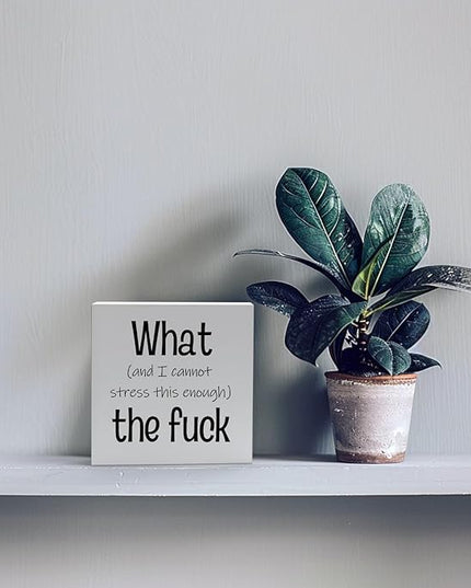 Funny Desk Decor Office Decorations for Work Funny Office Decor What and I Cannot Stress This Enough the Fuck Cool Office Decor Wooden Signs for Home Decor Office Desk Decor Funny Signs (5x5inch) - LeafyLoom