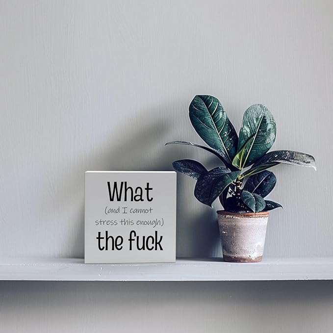 Funny Desk Decor Office Decorations for Work Funny Office Decor What and I Cannot Stress This Enough the Fuck Cool Office Decor Wooden Signs for Home Decor Office Desk Decor Funny Signs (5x5inch) - LeafyLoom