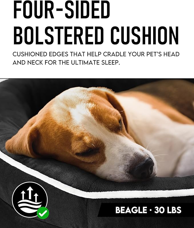OhGeni Orthopedic Dog Bed Couch for Large Sized Pets with Egg Foam Support, Four-Sided Bolster Cushions, Soft Tear-Resistant Fabric, and Removable Machine Washable Plush Cover 35-Inch (Black) OhGeni