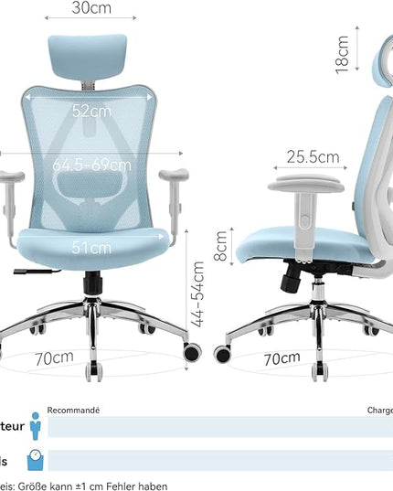 SIHOO M18 Ergonomic Office Chair, Computer Desk Chair with Adjustable Headrest and Lumbar Support, High Back Executive Swivel Chair for Home Office (Light Blue) - LeafyLoom