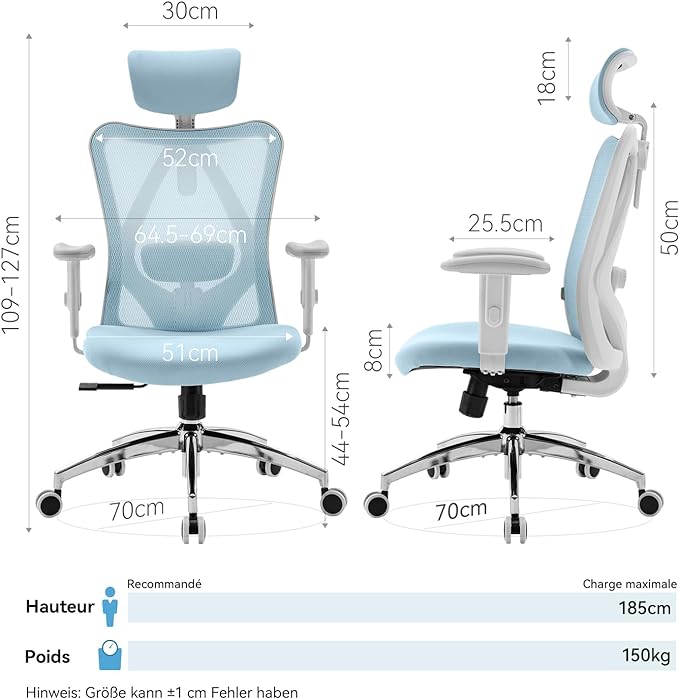 SIHOO M18 Ergonomic Office Chair, Computer Desk Chair with Adjustable Headrest and Lumbar Support, High Back Executive Swivel Chair for Home Office (Light Blue) - LeafyLoom