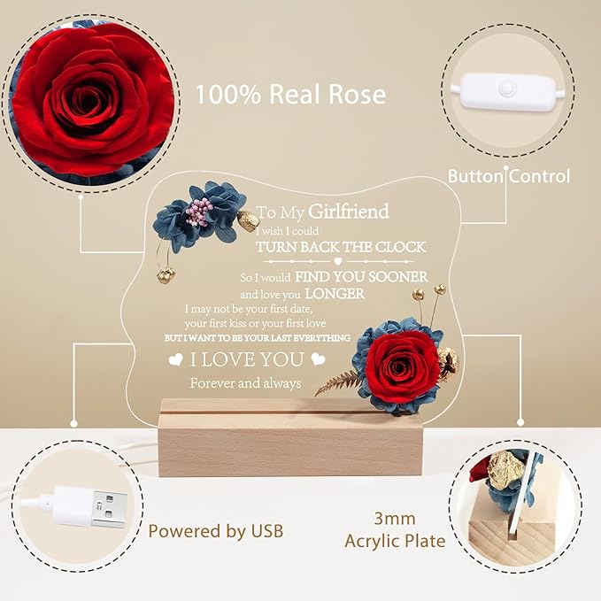 Yamonic Valentines Day Gifts for Her, Handmade Acrylic Plaque with Eternal Real Rose, Night Light with Preserved Rose Romantic Gifts for Girlfriend Wife Women (to My Girlfriend) - LeafyLoom