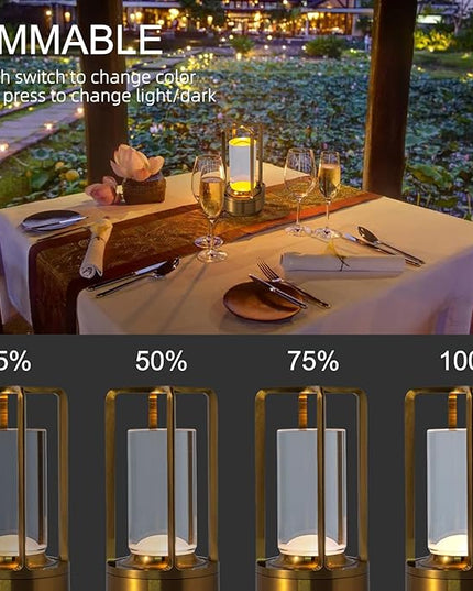 JHWDHD Portable Black Metal Desk Lamp, Cordless LED, Touch Control, 3 Brightness Levels, Multi-Use in Decoration/Bedside/Night/Living Room/Bar/Camping - LeafyLoom