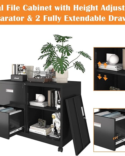 Metal File Cabinet Printer Stand with 2 lockable full extension drawers and 1 lockable door, adjustable shelf, for Home office and Study room Organizer Letters/Legal/A4,BLACK - LeafyLoom