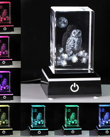 Qianwei Owl Gifts for Women Girls Home Decorations, 3D Crystal Owl Figurines Stuff Gifts for Owl Lovers Mom kids Men Her Statue Paperweight Birthday for Best Friend Kids, Keepsake&Paperweight - LeafyLoom