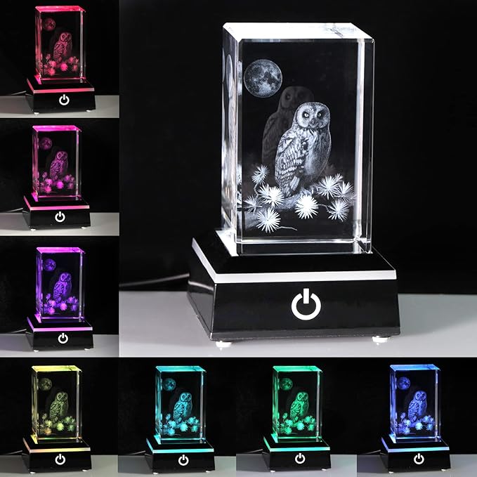 Qianwei Owl Gifts for Women Girls Home Decorations, 3D Crystal Owl Figurines Stuff Gifts for Owl Lovers Mom kids Men Her Statue Paperweight Birthday for Best Friend Kids, Keepsake&Paperweight - LeafyLoom