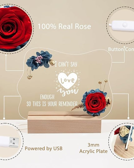Yamonic Valentines Day Gifts for Her, Handmade Acrylic Plaque with Eternal Real Rose, Night Light with Preserved Rose Romantic Gifts for Girlfriend Wife Women (Reminder) - LeafyLoom