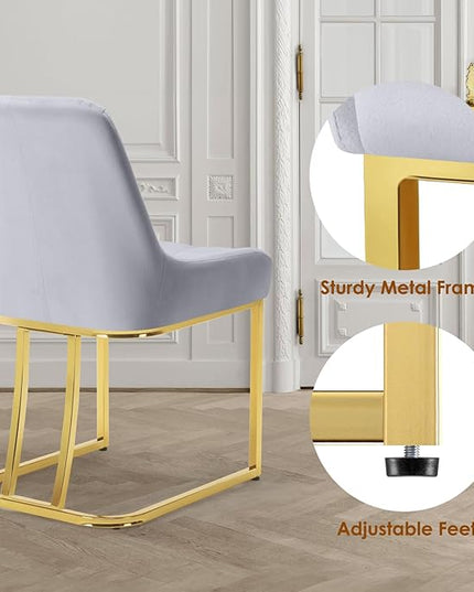 STARY Upholstered Velvet Armless Dining Room Chairs with Gold Metal Legs for Kitchen Restaurant, Gray- Set of 2 - LeafyLoom