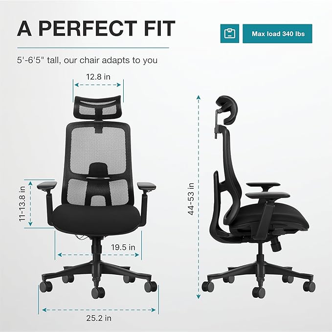 Takumi Ergonomic Office Chair Lumbar Support: Ergonomic Chair, Mesh Office Chair, Ergonomic Desk Chair, Best Desk Chair for Long Hours, Mesh Office Chair for Heavy People - Premium Cushion - LeafyLoom