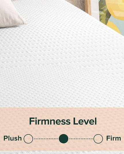 ZINUS 12 Inch Green Tea Essential Memory Foam Mattress, Full, Mattress in A Box, Affordable Mattress, CertiPUR-US Certified - LeafyLoom