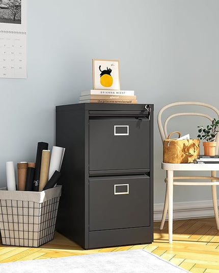 2 Drawer File Cabinet,Metal Vertical File Cabinets with Lock for Home Office,Heavy Duty Office Steel Filing Cabinet for Hanging Letters/Legal/A4, Assembly Required (Black) - LeafyLoom