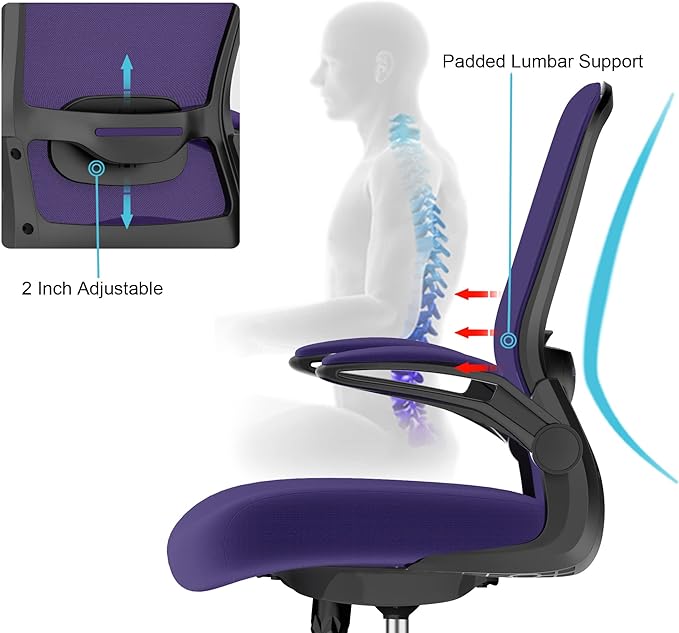 Office Chair, Ergonomic Desk Chair with Adjustable Lumbar Support, High Back Mesh Computer Chair with Flip-up Armrests-BIFMA Passed Task Chairs, Executive Chair for Home Office - LeafyLoom