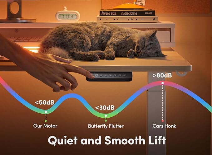 EZIBO 48 * 26 Inch Electric Standing Desk with Monitor Stand, Height Adjustable Table with LED Strips, Ergonomic Home Office Furniture with 2 Drawers Storage Workstation, Light Walnut - LeafyLoom