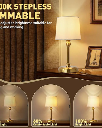 Cordless LED Table Lamp, 6000mAh Rechargeable Bedside Night Lamp for Bedroom, Portable Touch Stepless Dimmable Battery Operated Lamp, Ambient Light for Patio Restaurant(‎Antique Brass S) - LeafyLoom