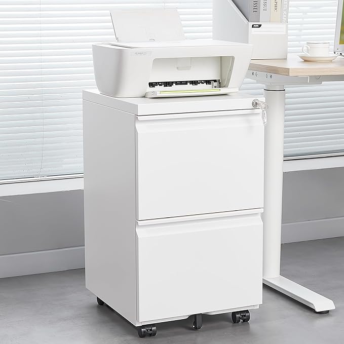 2 Drawer Mobile Lock and Casters,Pre-Assembled Metal Office Storage Filing Cabinets w/Anti-Dumping Fifth Round,for Letter/Legal/A4 Size,White - LeafyLoom