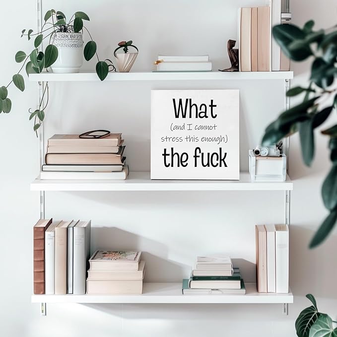 Funny Desk Decor Office Decorations for Work Funny Office Decor What and I Cannot Stress This Enough the Fuck Cool Office Decor Wooden Signs for Home Decor Office Desk Decor Funny Signs (5x5inch) - LeafyLoom