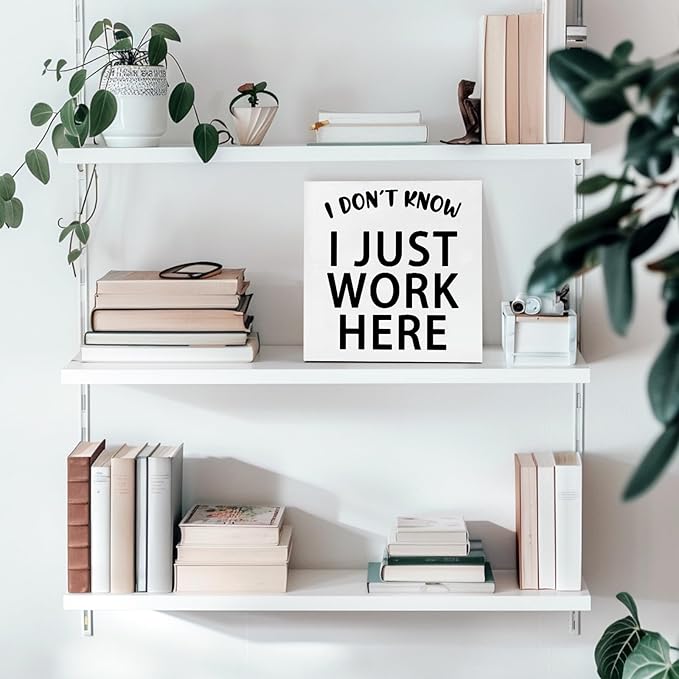 Funny Quotes Wood Box Sign I Don’t Know I Just Work Here Office Signs for Desk Funny Office Desk Accessories Funny Signs for Office Decorative Signs for Home Decor Work Office Decor (5x5inch) - LeafyLoom