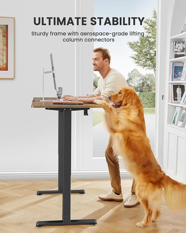 ErGear Height Adjustable Electric Standing Desk, 40 x 24 Inches Sit Stand up Desk, Memory Computer Home Office Desk (Espresso) - LeafyLoom