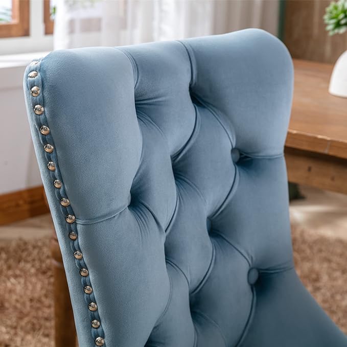 NicBex Haerin-SD-00113-LWJ Dining Chairs, 25.5"x19.7"x37.4", Light Blue - LeafyLoom