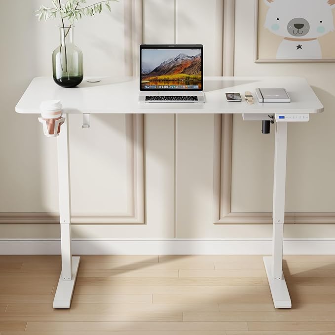 63'' x 24'' Electric Height Adjustable Stand up Desk Home Office Ergonomic Computer Workstation - LeafyLoom