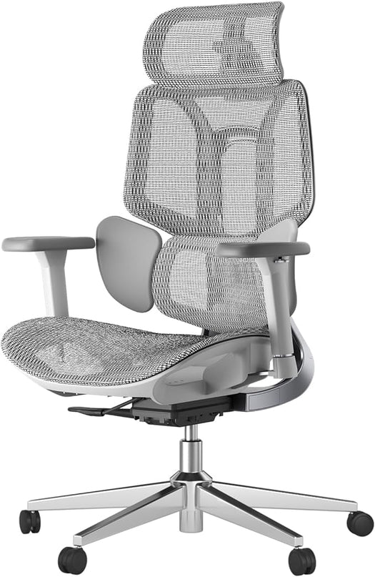 Hbada E3 Ergonomic Office Chair, Big and Tall Office Chair - with 3-Zone Dynamic Lumbar Support, 3D Adjustable Headrest, 3D Adjustable Armrests, Swivel Computer Chair, Grey(No Footrest) - LeafyLoom