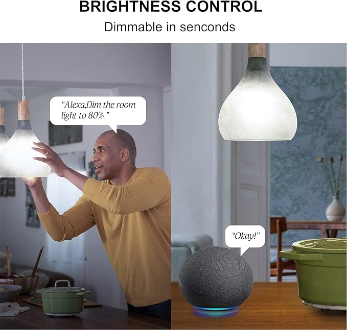 Sengled Smart Light Bulbs, WiFi Light Bulbs, Alexa Light Bulb, Smart Bulbs that Work with Alexa & Google Assistant, A19 Daylight (5000K) No Hub Required, 800LM 60W Equivalent High CRI>90, 2 Pack Sengled