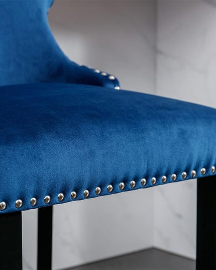 NicBex Haerin-SD-00377-LWJ Dining Chairs, 22"x19"x37", Blue - LeafyLoom