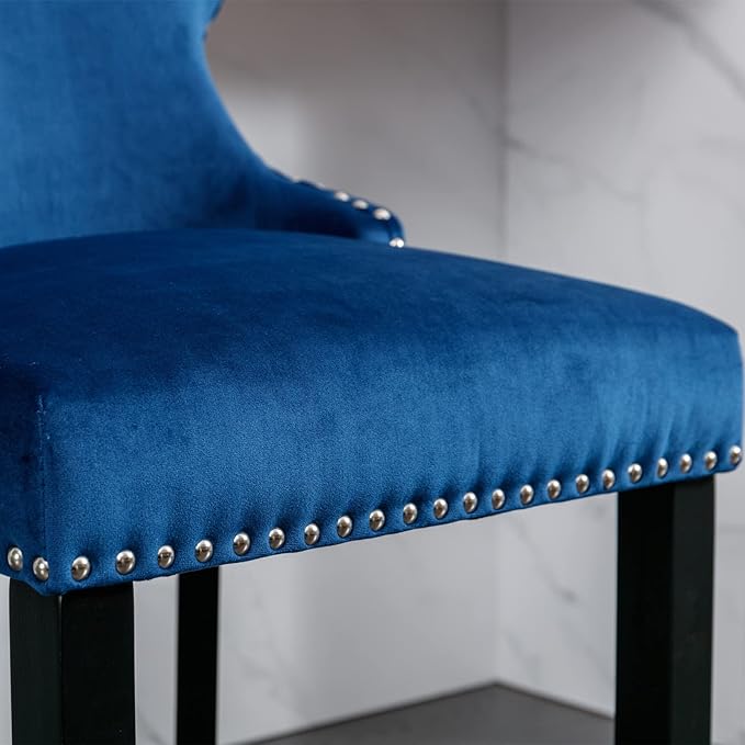 NicBex Haerin-SD-00377-LWJ Dining Chairs, 22"x19"x37", Blue - LeafyLoom