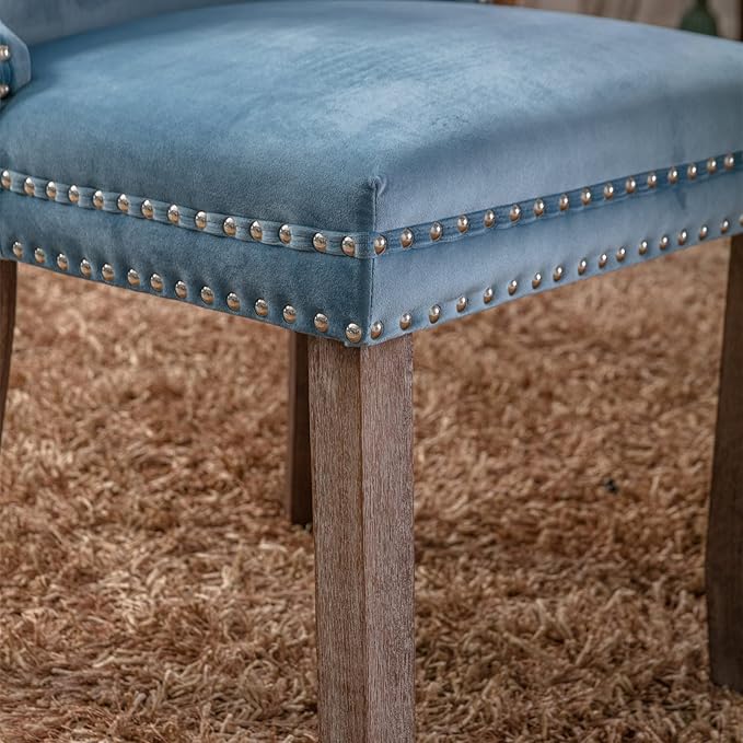 NicBex Haerin-SD-00119-LWJ Dining Chairs, 27.4"x20.4"x37.4", Light Blue - LeafyLoom