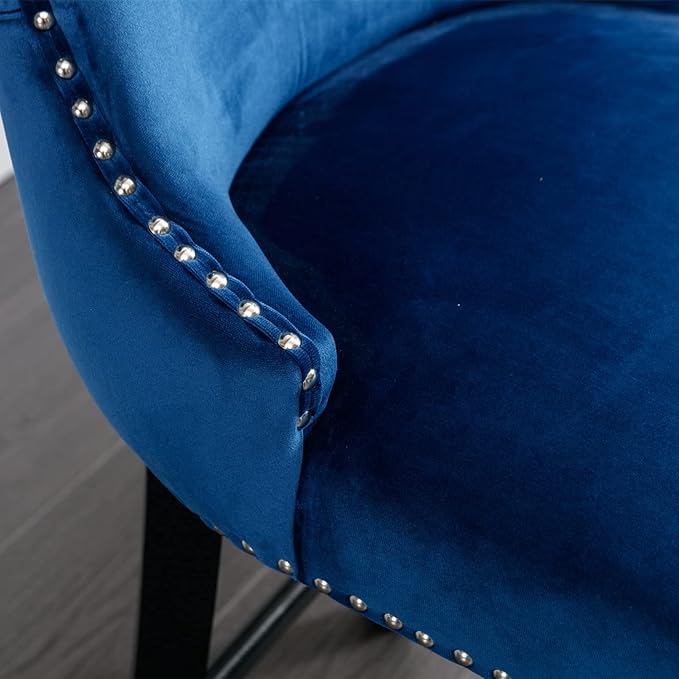 NicBex Haerin-SD-00377-LWJ Dining Chairs, 22"x19"x37", Blue - LeafyLoom