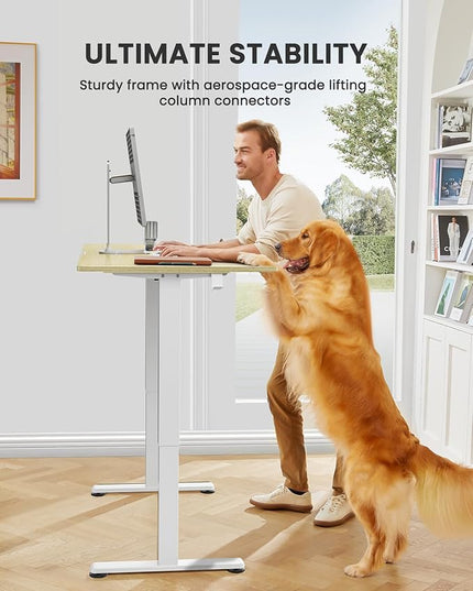 ErGear Height Adjustable Electric Standing Desk, 44 x 24 Inches Small Sit Stand up Desk, Memory Computer Home Office Desk (Natural) - LeafyLoom