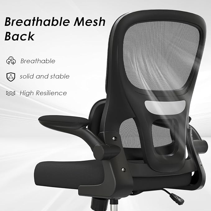 Soohow Ergonomic Home Office Chair, Mesh Desk Chair with Lumbar Support, Comfy Computer Desk Chair with Flip Armrest Rolling Wheels, Black. - LeafyLoom