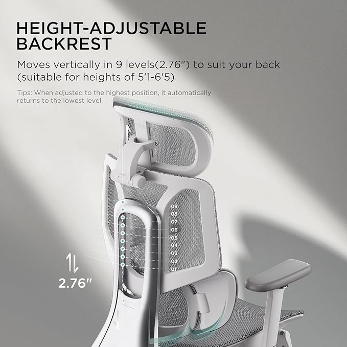 Hbada E3 Ergonomic Office Chair, Big and Tall Office Chair - with 3-Zone Dynamic Lumbar Support, 3D Adjustable Headrest, 3D Adjustable Armrests, Swivel Computer Chair, Grey(No Footrest) - LeafyLoom