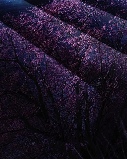 Wolf Comforter Set Galaxy Night Moon Bedding Set 3Pcs Howling Wolf Down Lunar Eclipse Bed Set for Kids Teens Room Decor Wild Animals Comforter with 2 Pillowcases - LeafyLoom