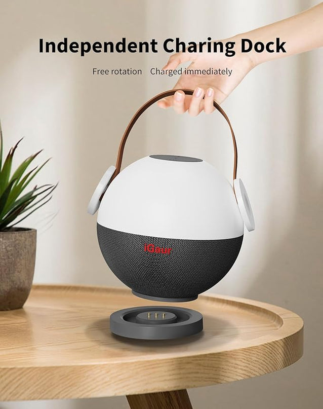 LED Night Light Beside Lamp: Music Table Lamp with Wireless Charger - 5 in 1 Touch Lamp Magnetic Wireless Phone Apple Watch Charger Birthday Gifts Friendship Lights with Base for Wife - LeafyLoom